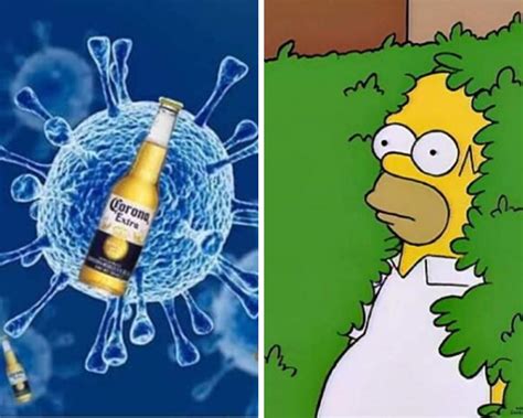 Los mejores memes del Coronavirus han inundado las redes ...