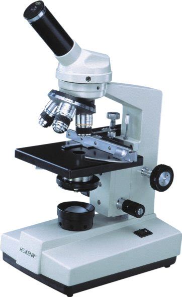 Los Mejores Microscopios Ópticos para Novatos y Expertos 2018