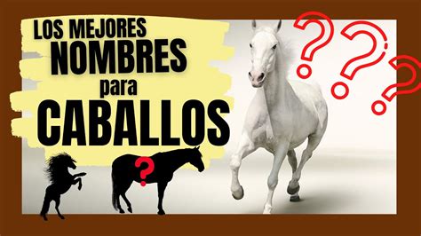 LOS MEJORES NOMBRES PARA CABALLOS MACHOS Y POTROS MACHOS Los más ...