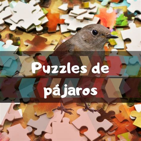 Los mejores puzzles de pájaros   Juegos de mesa y puzzles