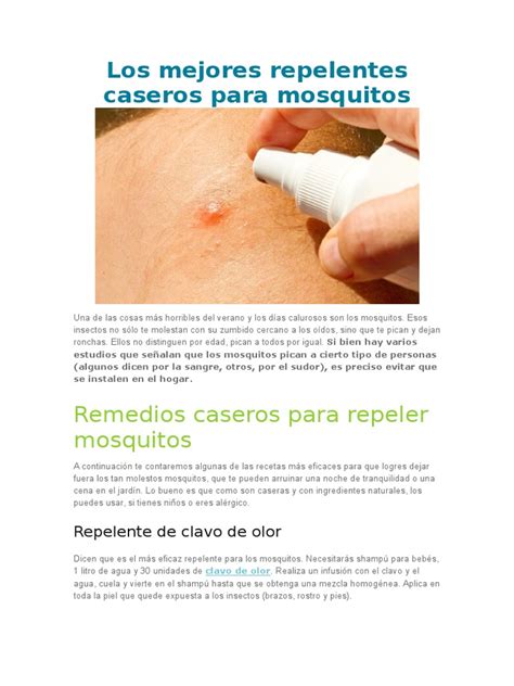 Los Mejores Repelentes Caseros Para Mosquitos | Plantas ...