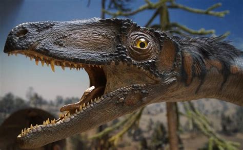 Los Mejores Videos Infantiles de Dinosaurios para Niños en ...