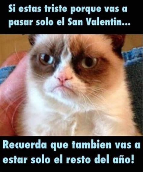 Los memes más chistosos del día de San Valentín | People en Español