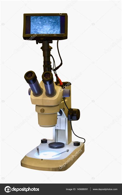 Los Microscopios Electrónicos Permiten Estudio Estructura ...