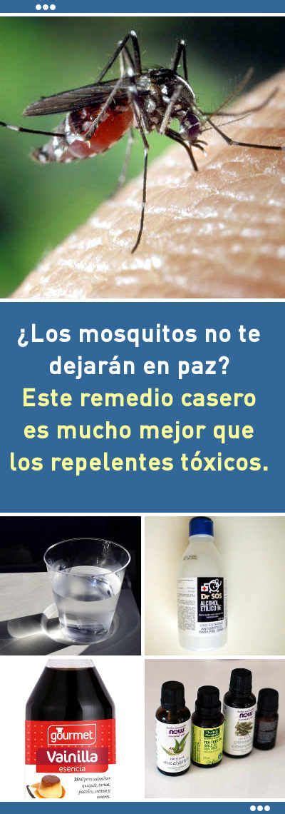 ¿Los mosquitos no te dejarán en paz? Este remedio casero es mucho mejor ...