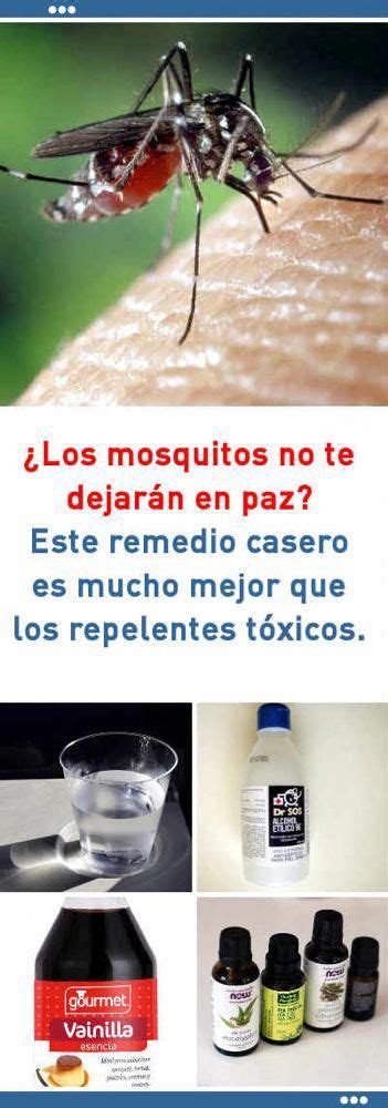¿Los mosquitos no te dejarán en paz? Este remedio casero es mucho mejor ...