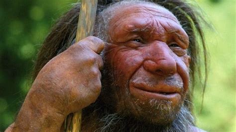 Los neandertales tenían mayor semejanza genética con los ...