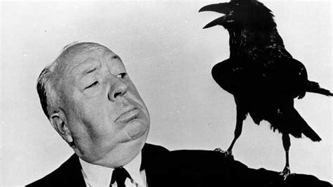 Los pájaros de Hitchcock emprenden el vuelo