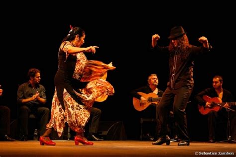 Los palos flamencos. Diversidad y orígenes   PASSIÓN FLAMENCA