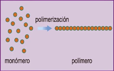 Los Polímeros