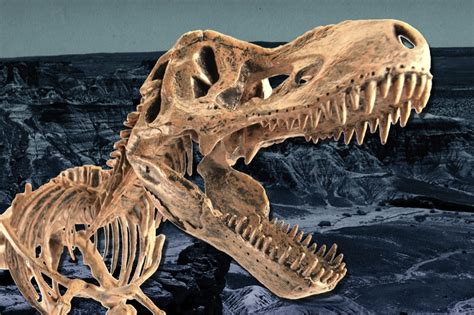 Los primeros dinosaurios de Norteamérica   Quo
