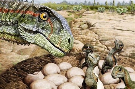 Los primeros dinosaurios pusieron huevos de cáscara blanda ...