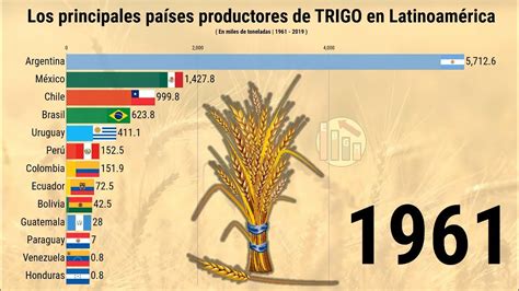 Los principales países productores de TRIGO en LATINOAMÉRICA   YouTube
