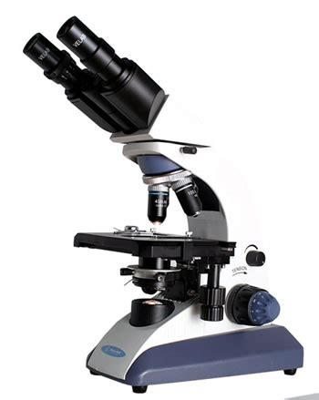 Los principales usos y aplicaciones de un microscopio ...