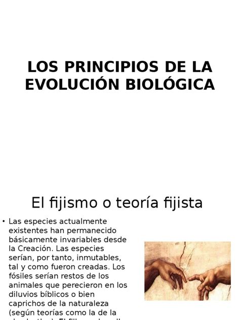 Los Principios de La Evolución Biológica | Evolución ...