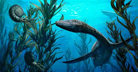 Los reptiles acuáticos del jurásico | Mesozoic Blog