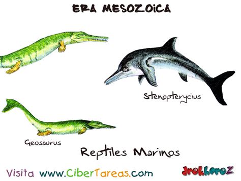 Los Reptiles Marinos   Era Mesozoica | CiberTareas