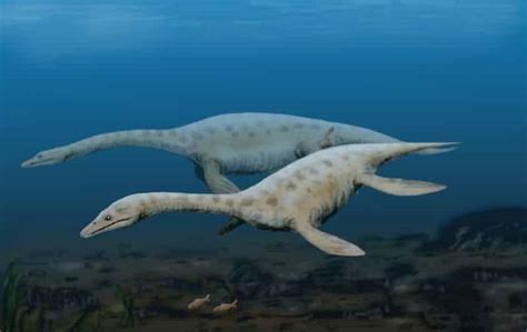 Los reptiles marinos o  dinosaurios marinos gigantes
