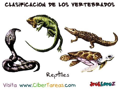 Los Reptiles – Clasificación de los Vertebrados | CiberTareas