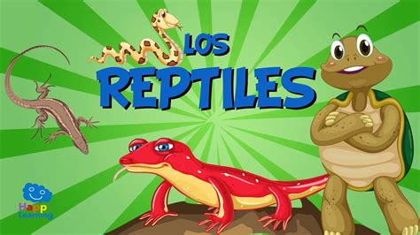 Los Reptiles | Vídeos Educativos para Niños   YouTube