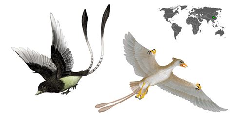 Los reptiles voladores del cretáceo | www.dinosaurios.wiki