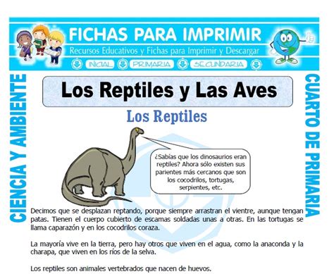 Los Reptiles y Las Aves para Cuarto de Primaria   Fichas ...