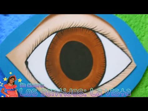Los sentidos   La vista: Educación para niños   YouTube
