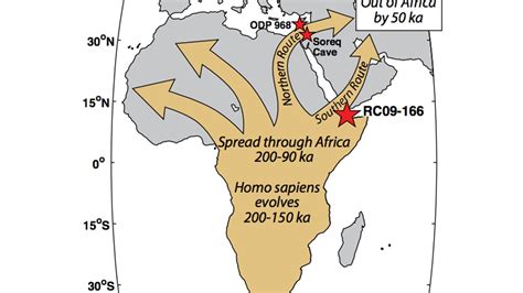 Los seres humanos emigraron desde África hace 60.000 años ...