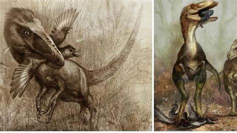 Los sigilosos dinosaurios que cazaban aves ABC.es