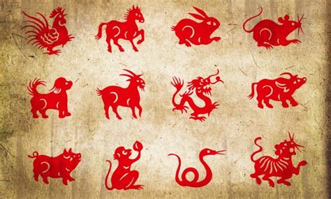 Los signos del zodíaco en el horóscopo chino   12 Horoscopos