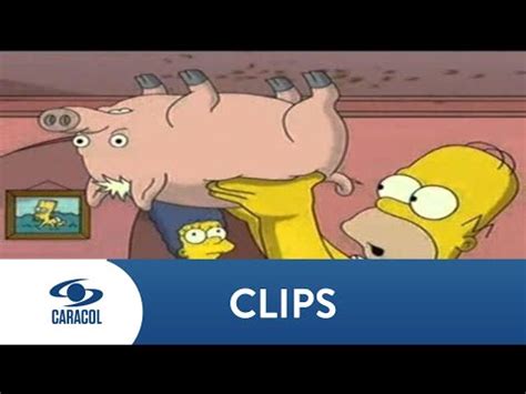Los Simpson: la película   Caracol TV   YouTube
