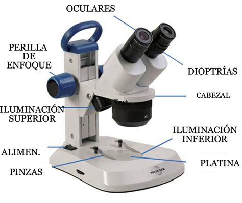 Los TOP 3 ⊛ Mejores Microscopios Estererocópicos del 2020