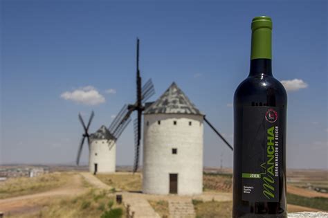 Los vinos DO La Mancha brillan en el norte   La Mancha Wines