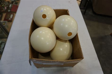 LOT OF OSTRICH EGGS   Big Valley Auction