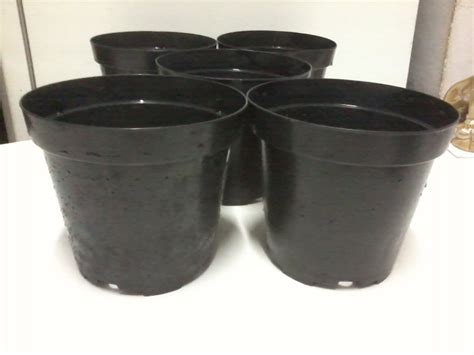 Lote 5 Vasos Plásticos Planta   R$ 22,00 em Mercado Livre
