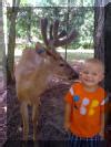 Louisiana Trophy Whitetail Petting Zoo for you or your ...