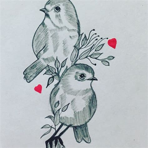Love Birds | Bird pencil drawing, Love birds drawing, Bird ...