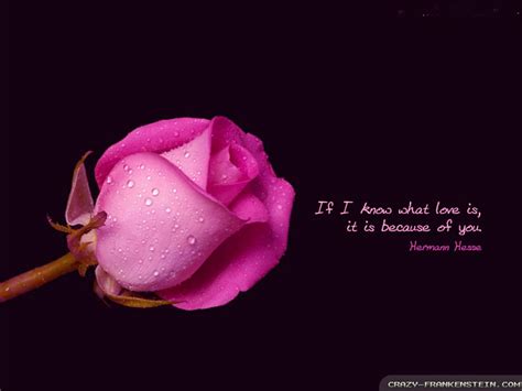 Love Poems and Love Quotes: Romantic Quotes