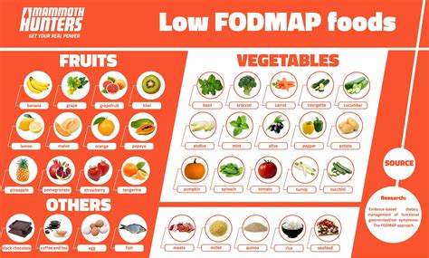 Low Fodmap diet   Eco Health Blog