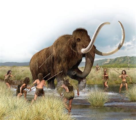 L’uomo influì sull’estinzione della megafauna americana: una nuova ...