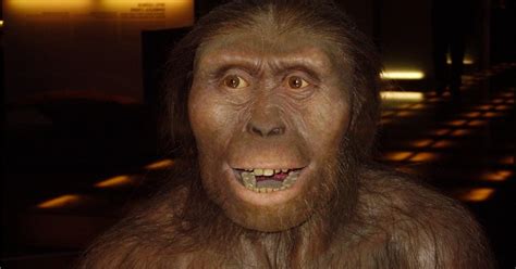 Lucy la Australopithecus: el fósil que lo cambió todo
