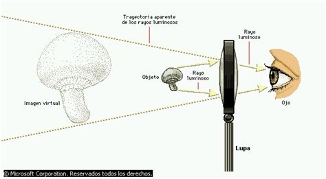 Luz  optica  | pvelez7