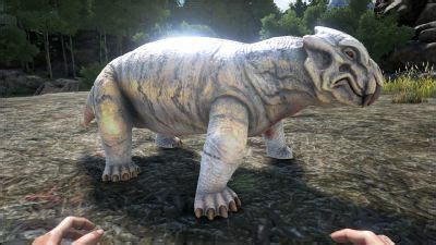 Lystrosaurus   Official ARK: Survival Evolved Wiki