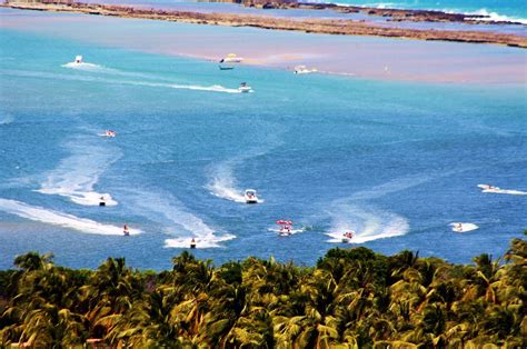 Maceio   Alagoas: Praia do Gunga   Maceio   Alagoas