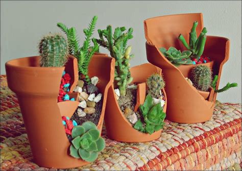 macetas recicladas cactus | Macetas originales, Macetas y ...