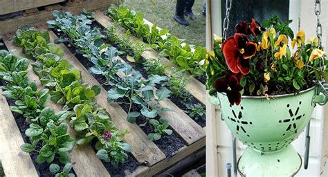 Macetas y jardineras originales con material reciclado