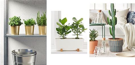 Maceteros de Ikea para vestir tus plantas de interior
