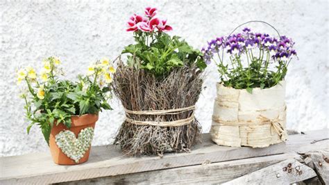 Maceteros originales: todo para tus plantas | WESTWING