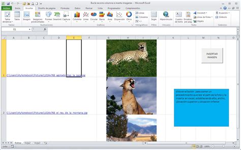 Macro Inserta Imágenes en Excel #1   PROGRAMAR EN VBA MACROS DE EXCEL