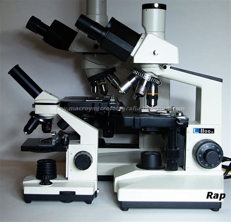 Macro y microfotografia: Prueba del microscopio del Lidl o ...